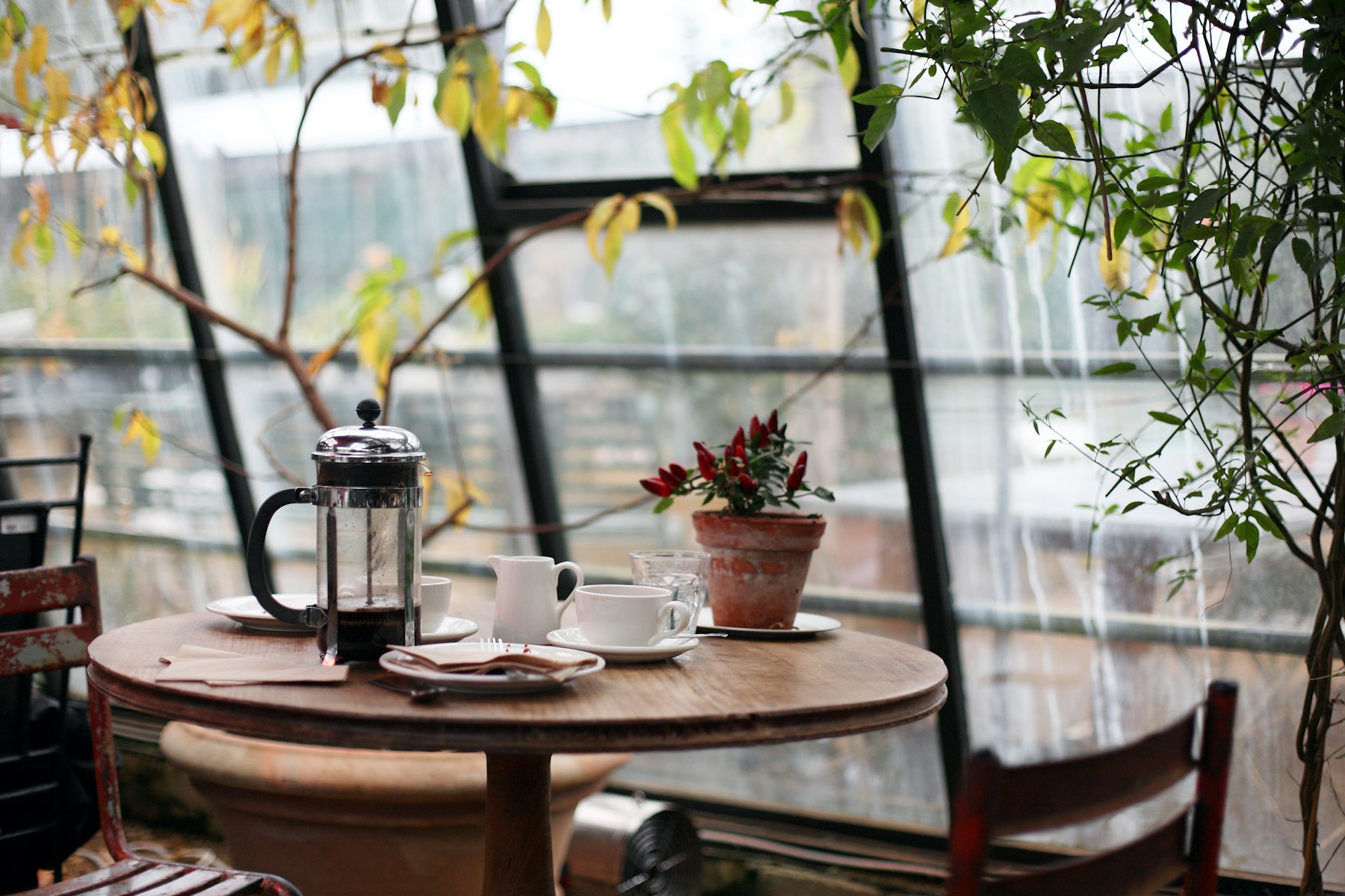 Kado Coffee, primary living space